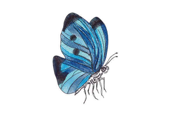 Blue Butterfly Drawing: A Designer’s Review