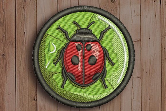 Ladybug in Circle: A Designer’s Review for Gifts